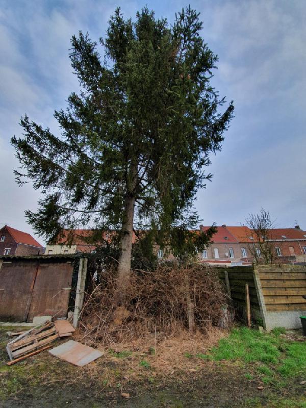 SOMAIN 49000Euro , petit prix , maison de ville a rénover .