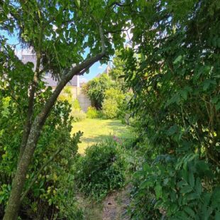 Maison Ronchin 5 pièce(s) 95 m2