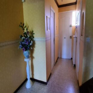 Maison Ronchin 5 pièce(s) 95 m2