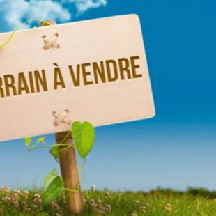 Grande parcelle de terrain bâtir!