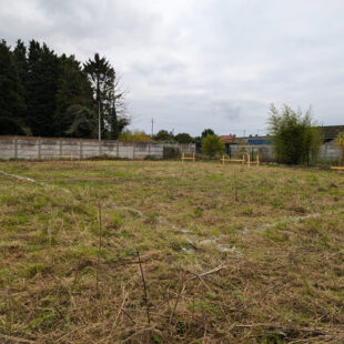 Terrain à bâtir Raches 774 m2