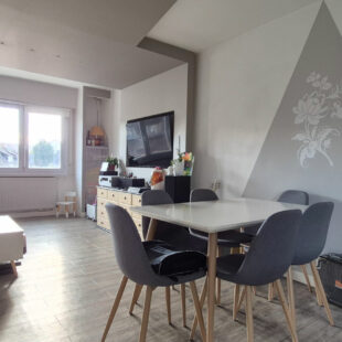 Maison Lille 5 pièce(s) 105 m2