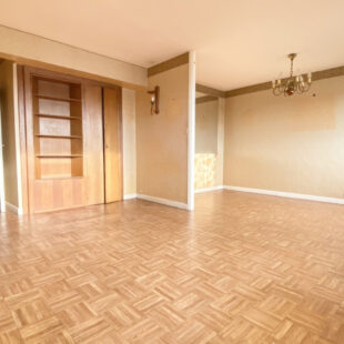 LILLE- CENTRE : APPARTEMENT 2 CHAMBRES, CAVE ET LOCAL VELO