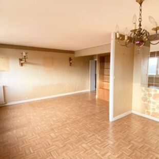 LILLE- CENTRE : APPARTEMENT 2 CHAMBRES, CAVE ET LOCAL VELO