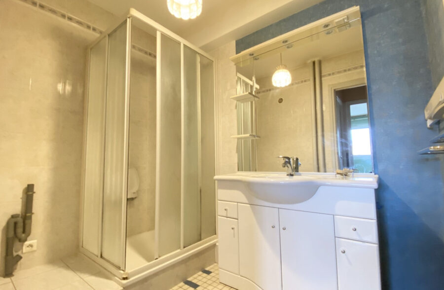 LILLE- CENTRE : APPARTEMENT 2 CHAMBRES, CAVE ET LOCAL VELO