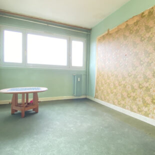 LILLE- CENTRE : APPARTEMENT 2 CHAMBRES, CAVE ET LOCAL VELO