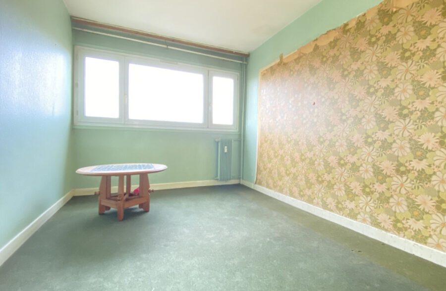 LILLE- CENTRE : APPARTEMENT 2 CHAMBRES, CAVE ET LOCAL VELO