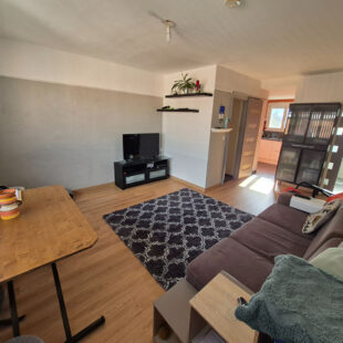 Appartement Tourcoing 3 pièce(s) 53.8 m2