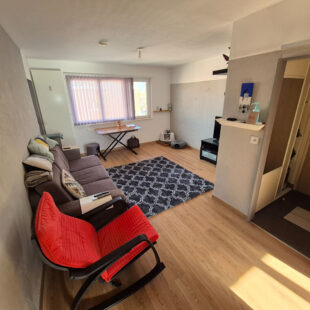 Appartement Tourcoing 3 pièce(s) 53.8 m2