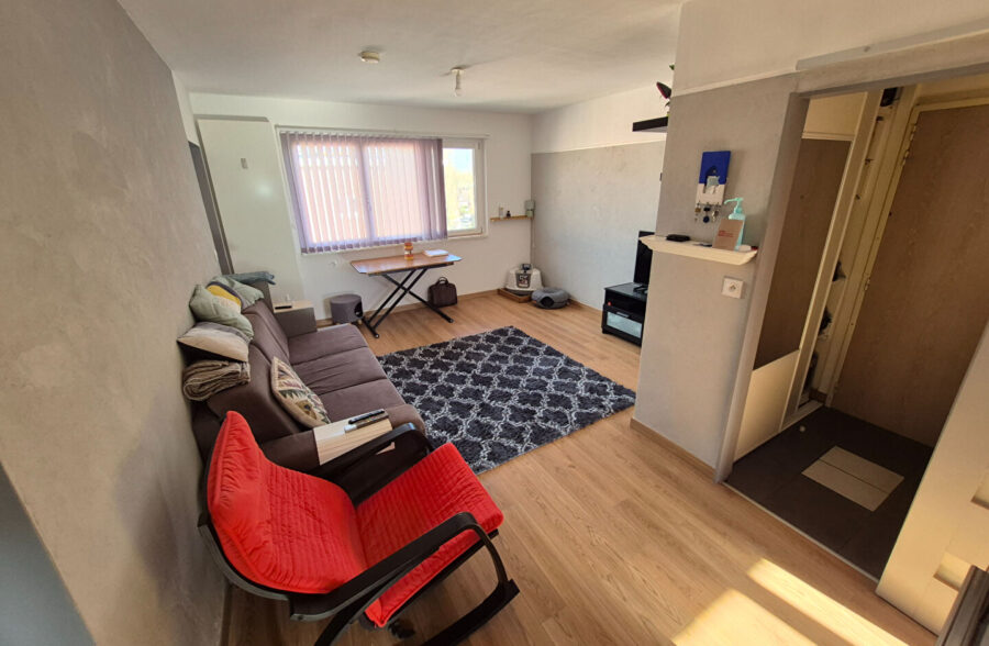 Appartement Tourcoing 3 pièce(s) 53.8 m2