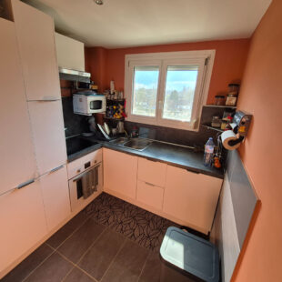 Appartement Tourcoing 3 pièce(s) 53.8 m2