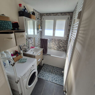 Appartement Tourcoing 3 pièce(s) 53.8 m2