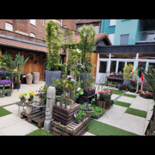 local commercial  centre ville immeuble de prestige