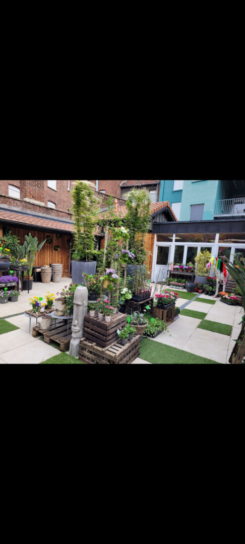 local commercial  centre ville immeuble de prestige