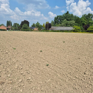 Terrain Auchy Les Orchies 1149 m2