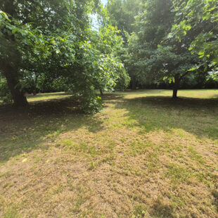 Maison individuelle avec  jardin et verger