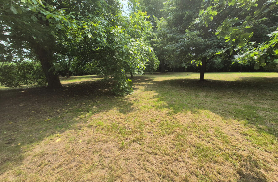 Maison individuelle avec  jardin et verger