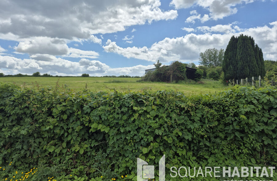 Terrain constructible