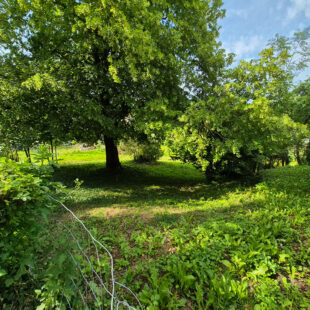 Terrain constructible à Camblain-Chatelain de plus de 800 m2