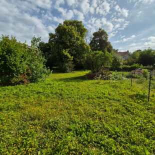 Terrain constructible à Camblain-Chatelain de plus de 800 m2