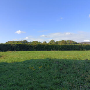 Terrain à Vendre à Carvin