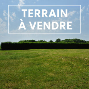 TERRAIN 459M²