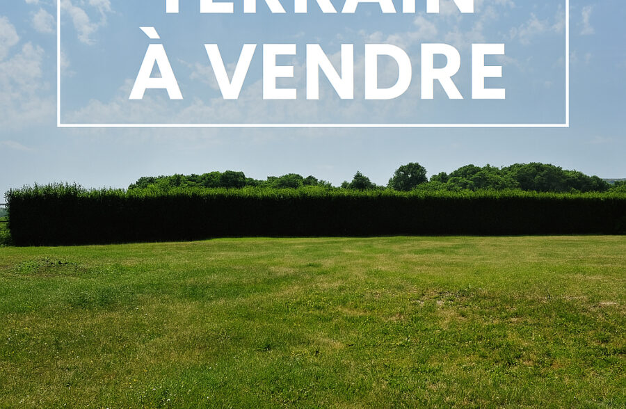 TERRAIN 459M²