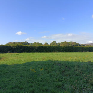 TERRAIN 459M²
