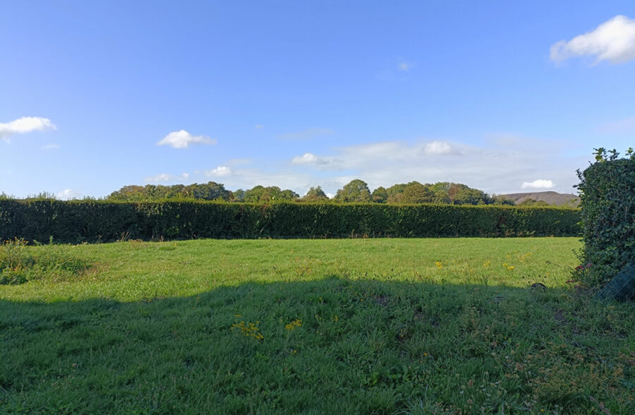 TERRAIN 459M²