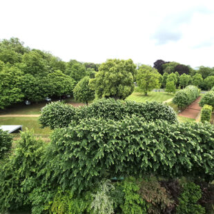 Appartement Cambrai 4 pièce(s) 96 m2