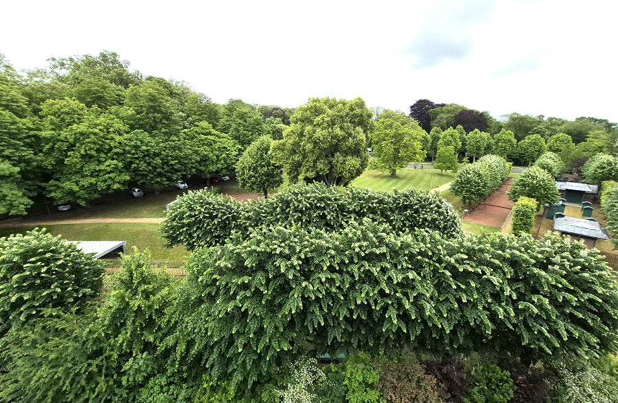 Appartement Cambrai 4 pièce(s) 96 m2