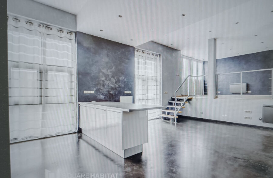 Loft secteur botanique !