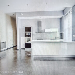 Loft secteur botanique !