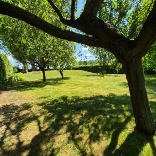 Maison Cambrai 6 pièce(s) 116 m2