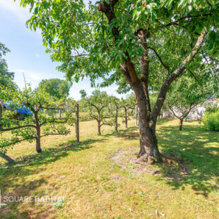 Semi plain pied individuel de 190 m² habitable