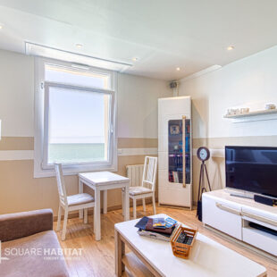 APPARTEMENT FACE MER