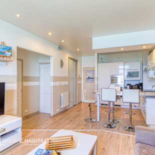 APPARTEMENT FACE MER