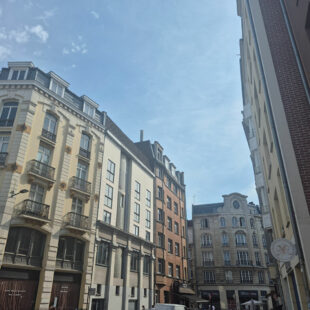 TOP EMPLACEMENT – APPARTEMENT 2 PIECES  51m² , PROCHE GRAND PLACE