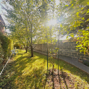 Immeuble avec commerce, habitation et jardin en coeur de ville.