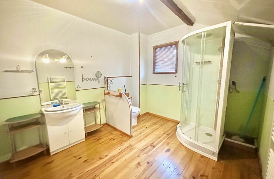 Immeuble avec commerce, habitation et jardin en coeur de ville.