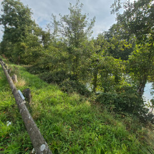 Terrain Millonfosse 603 m2