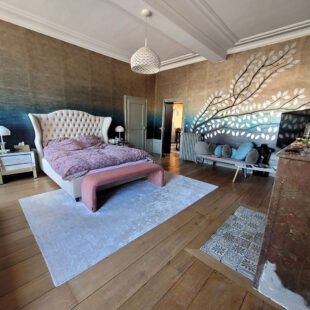 Hotel particulier et possibilité activité professionnelle