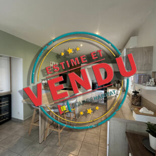 Maison Saint Amand Les Eaux 5 pièce(s) 130 m2