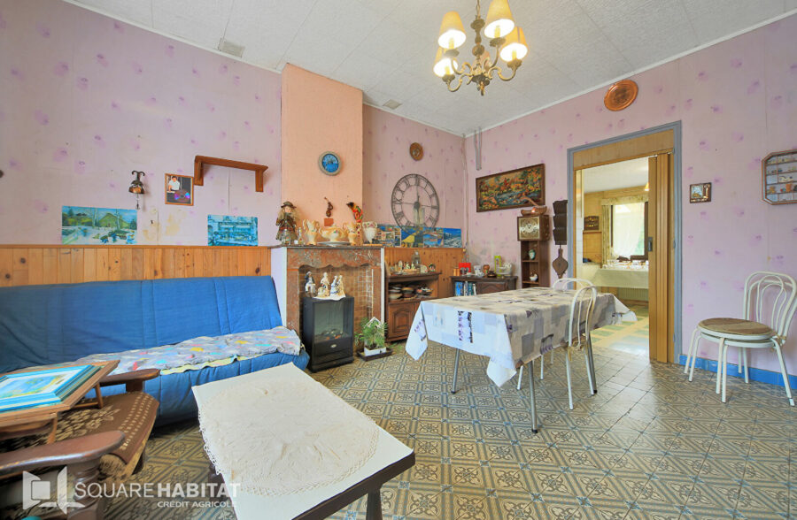 Maison, terrain constructible et divisible 4 800m²