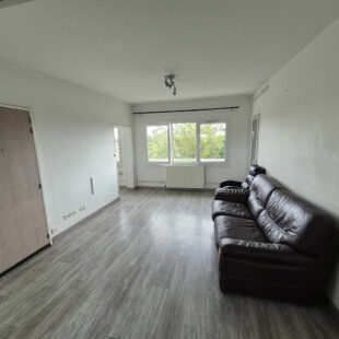 Appartement T3 lumineux avec terrasse et cave 51 m2