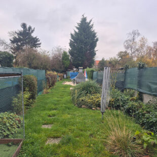 Maison Sin Le Noble 5 pièce(s) 95m2