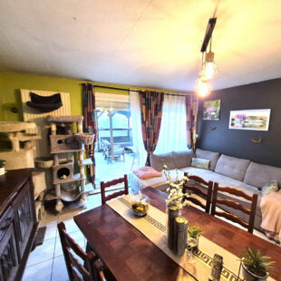 Maison Sin Le Noble 5 pièce(s) 95m2