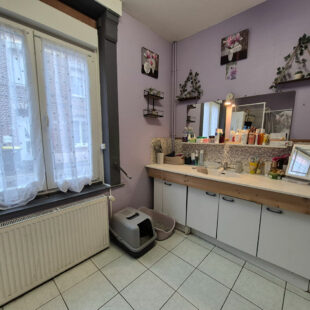 Maison Sin Le Noble 5 pièce(s) 95m2