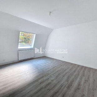 MAISON REFAITE A NEUF 4 CHAMBRES ET EXTERIEUR