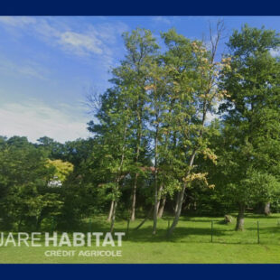 Terrain constructible viabilisé Cucq 1500 m2 Proche frontière Le Touquet